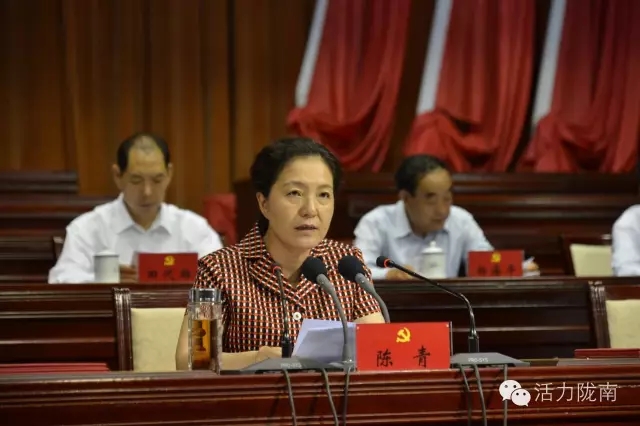 隴南市紀念建黨95周年暨表彰大會(huì )隆重召開(kāi)